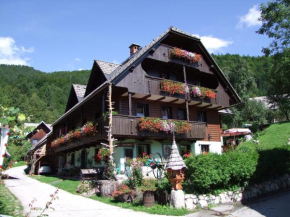Apartments Sodja